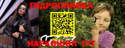 PSILOCYBIN Нальчик